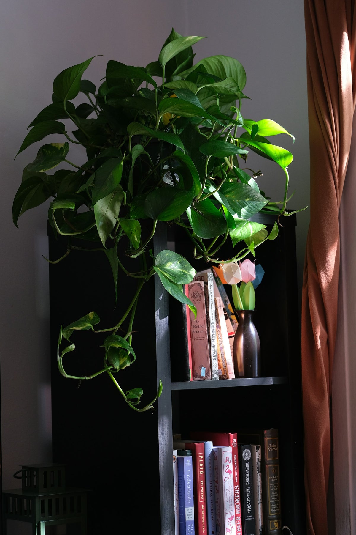 The Bookshelf