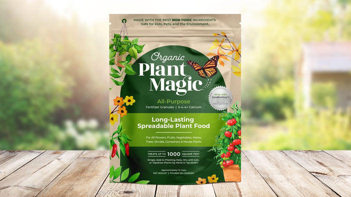 Slow-Release Plant Food