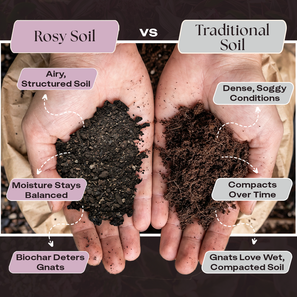 Rosy Aroid Soil by Rosy Soil, detail 3