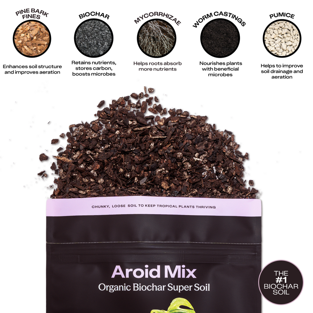 Rosy Aroid Soil by Rosy Soil, detail 4