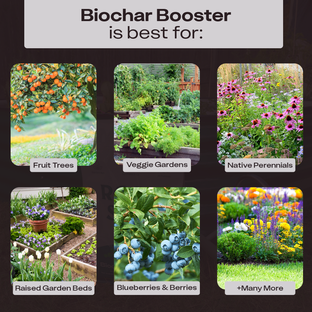 Rosy Biochar Booster by Rosy Soil, detail 7