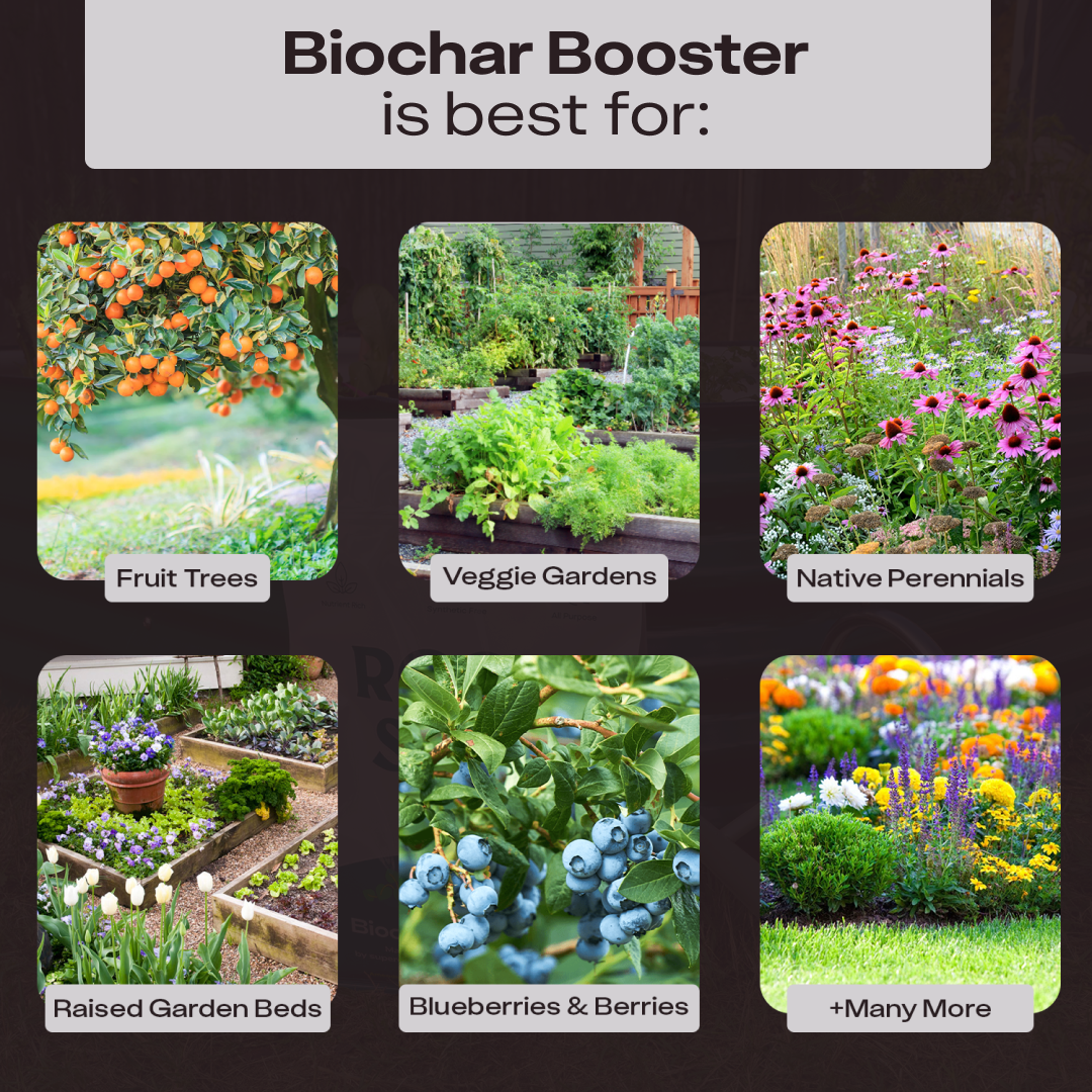 Rosy Biochar Booster by Rosy Soil, detail 7