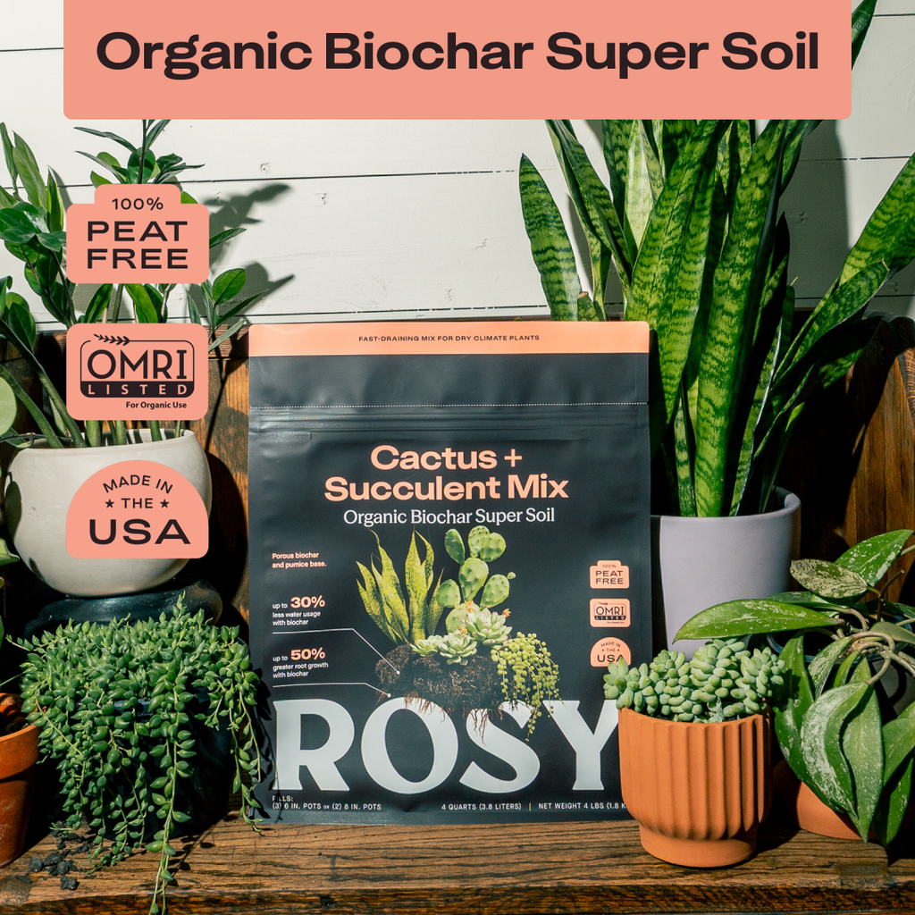 Rosy Cactus & Succulent Soil by Rosy Soil, detail 2
