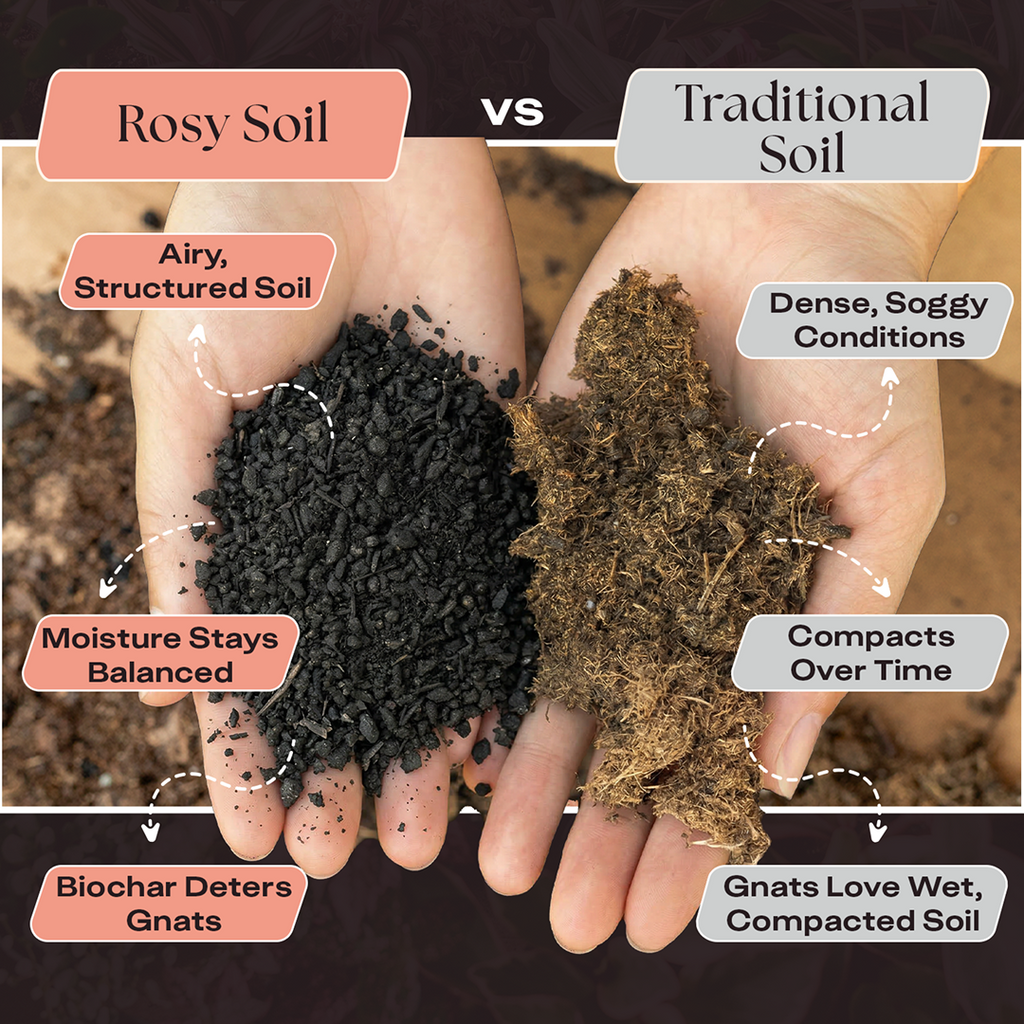 Rosy Cactus & Succulent Soil by Rosy Soil, detail 3