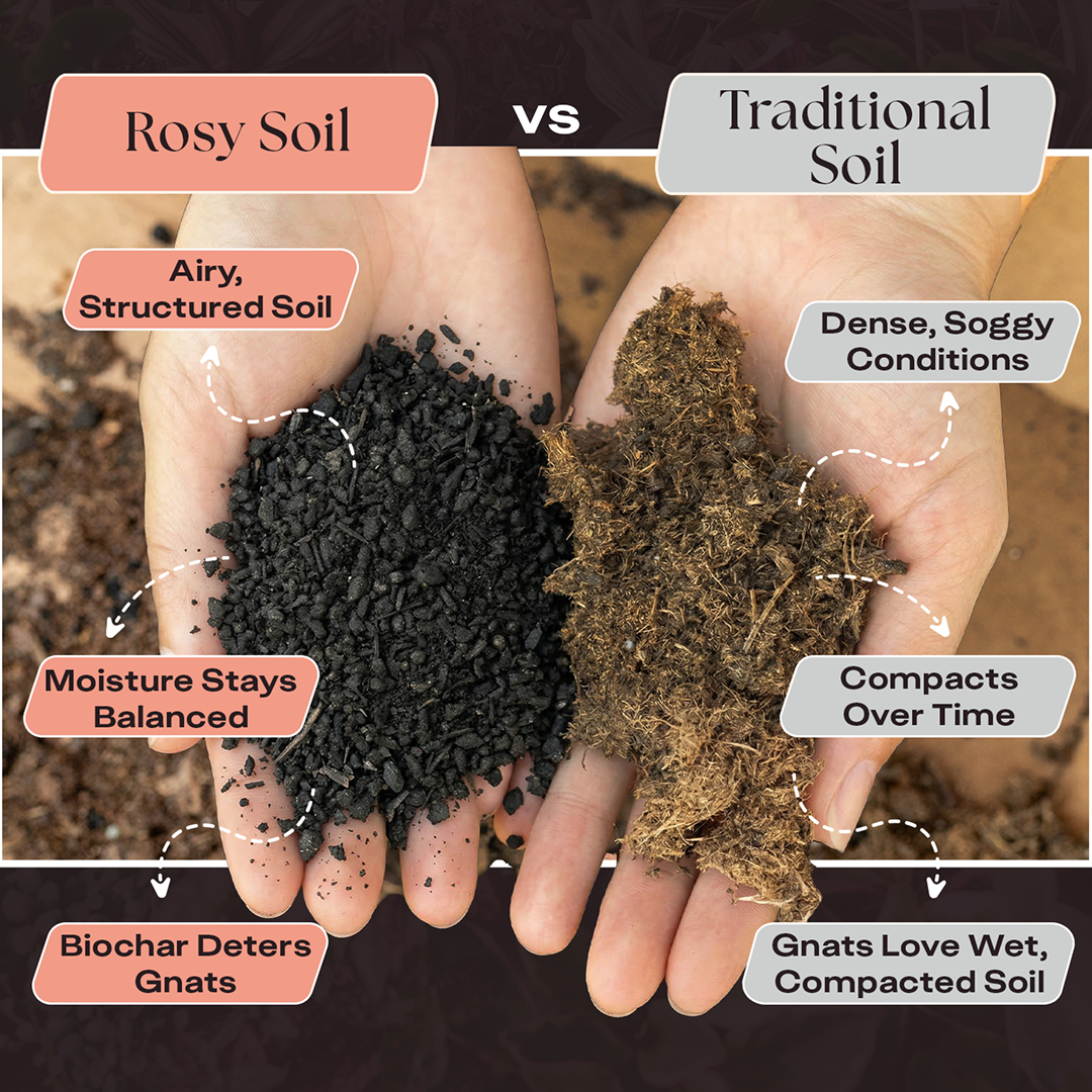 Rosy Cactus & Succulent Soil by Rosy Soil, detail 3