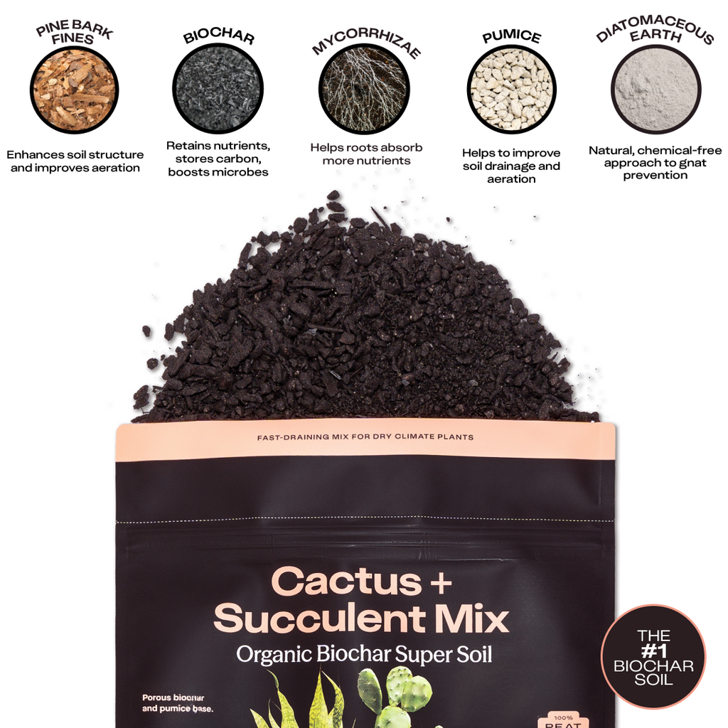 Rosy Cactus & Succulent Soil by Rosy Soil, detail 4