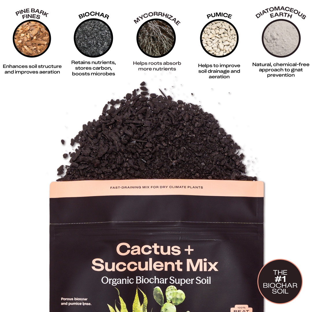 Rosy Cactus & Succulent Soil by Rosy Soil, detail 4