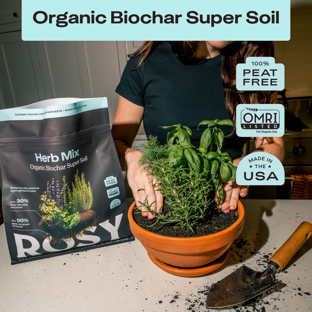 Rosy Herb Soil by Rosy Soil, detail 2