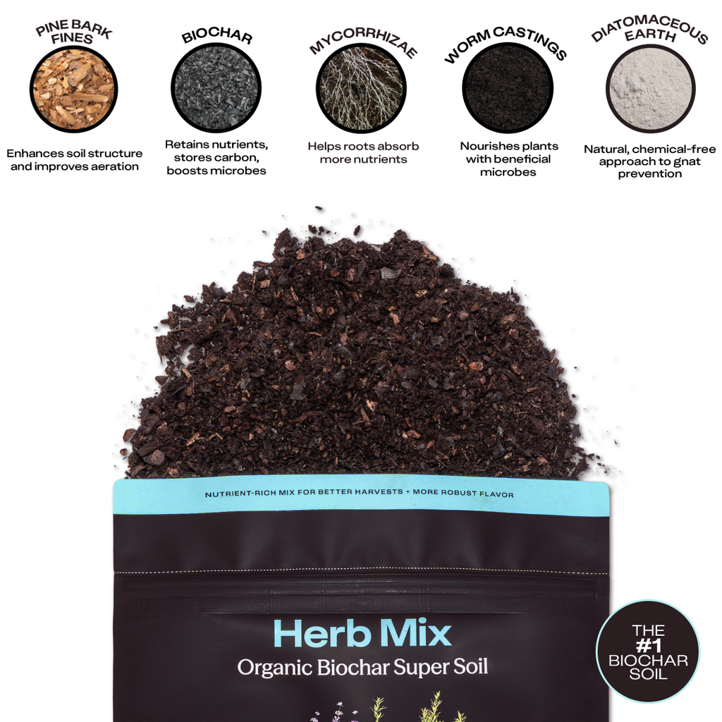 Rosy Herb Soil by Rosy Soil, detail 4