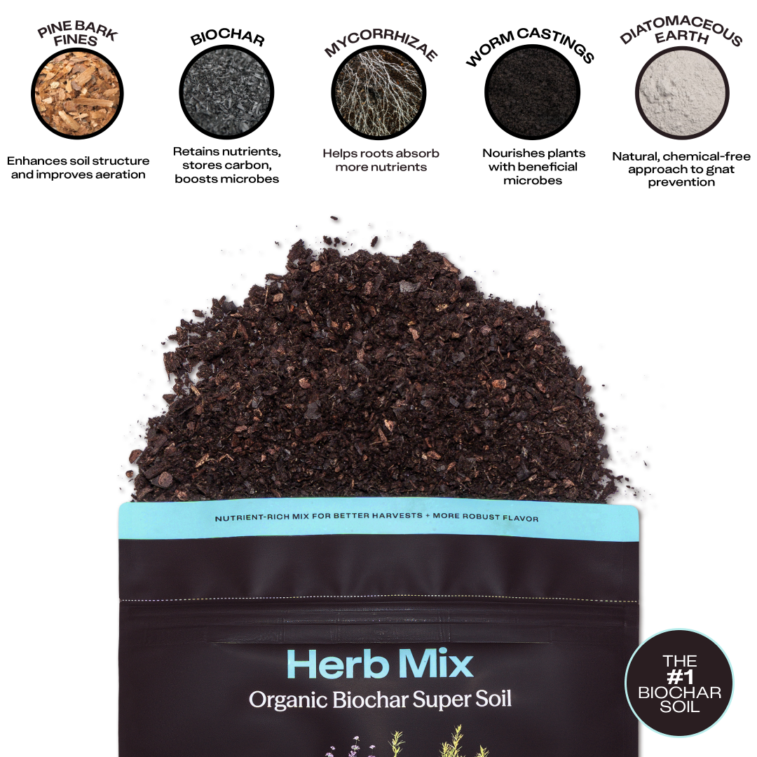 Rosy Herb Soil by Rosy Soil, detail 4