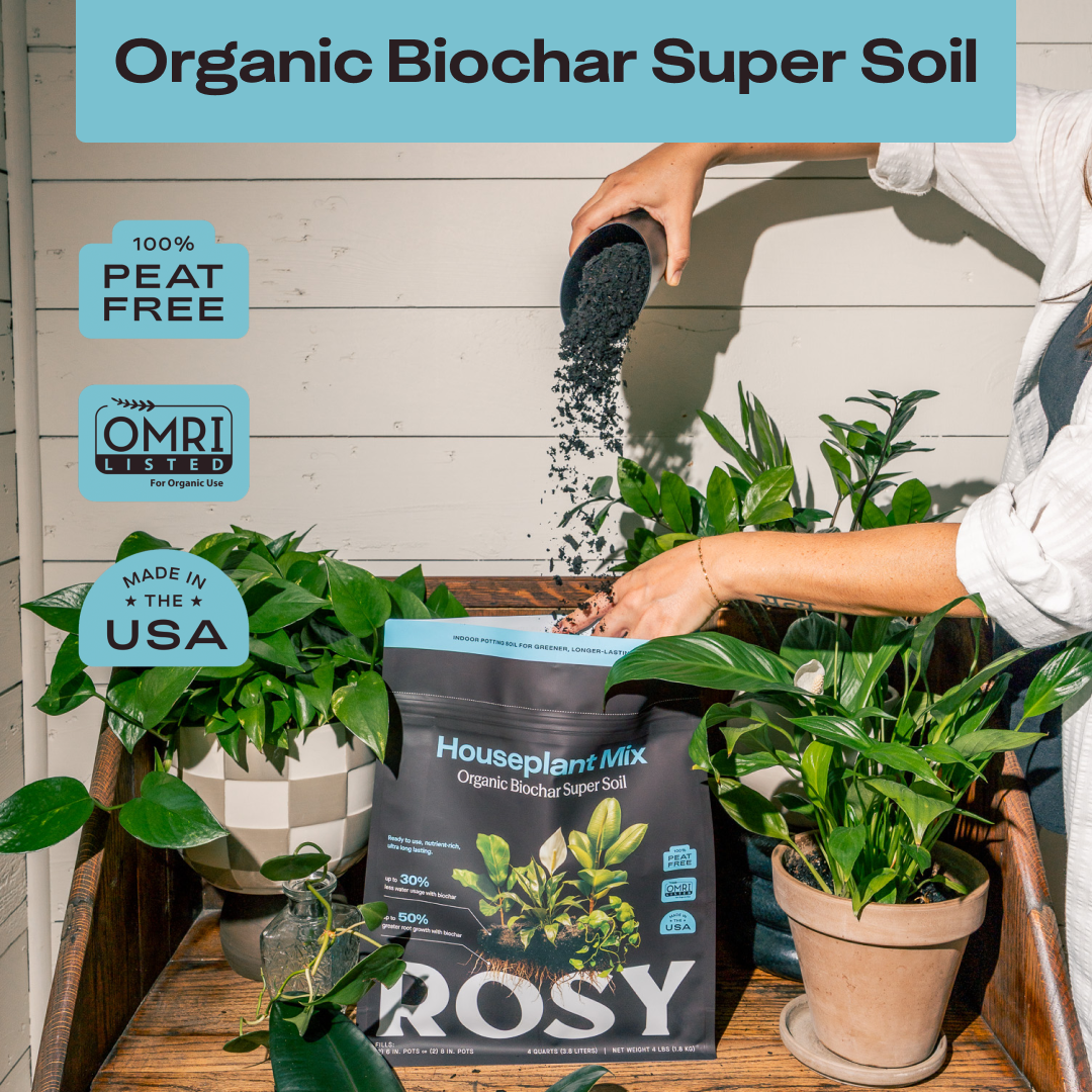 Rosy Houseplant Soil by Rosy Soil, detail 2
