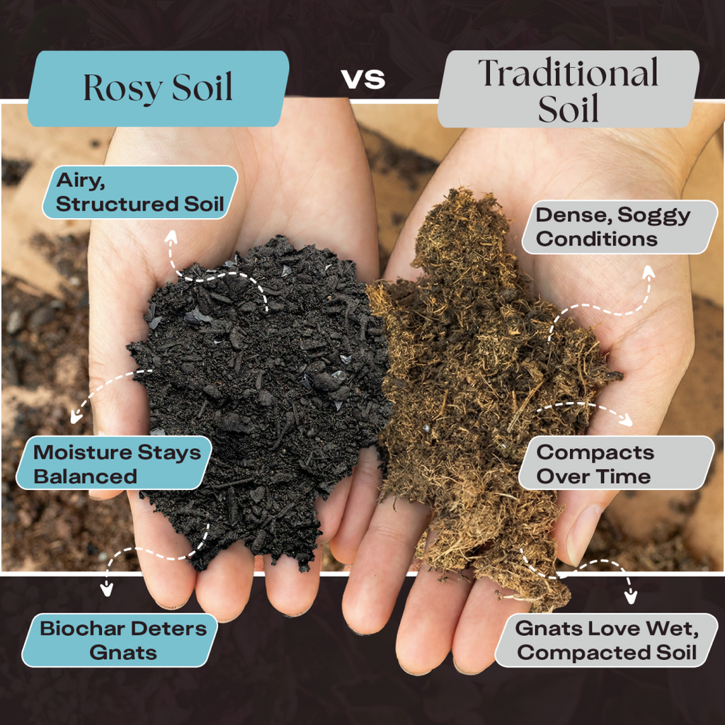 Rosy Houseplant Soil by Rosy Soil, detail 3