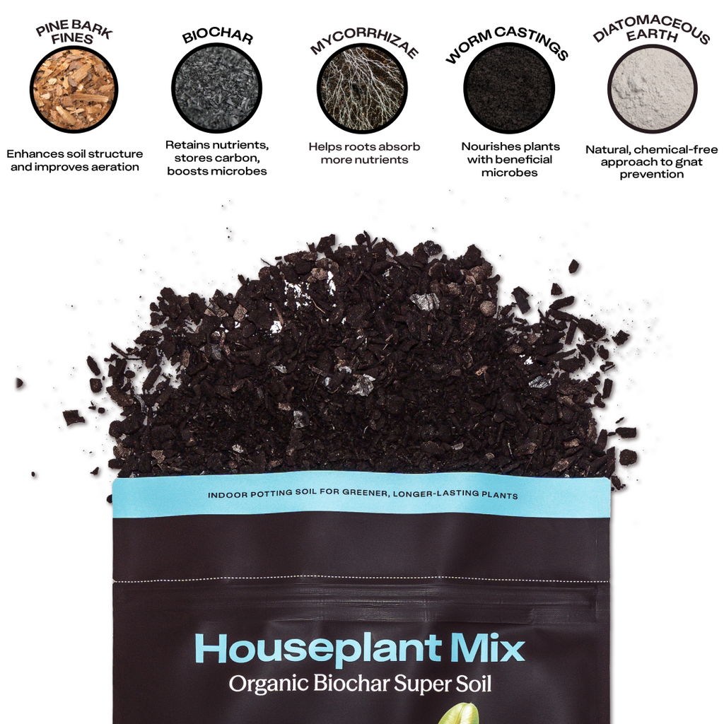 Rosy Houseplant Soil by Rosy Soil, detail 4