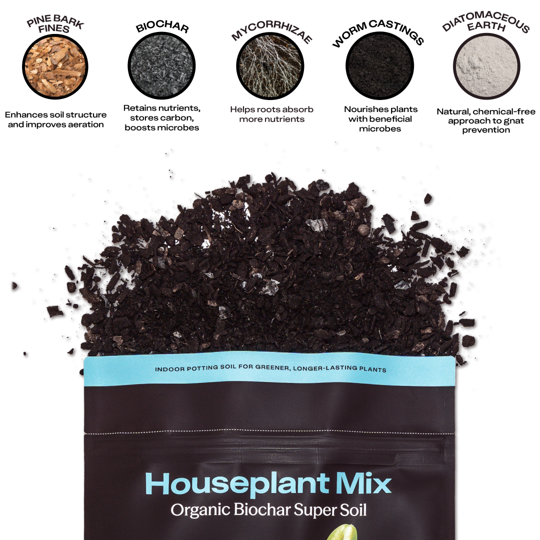 Rosy Houseplant Soil by Rosy Soil, detail 4