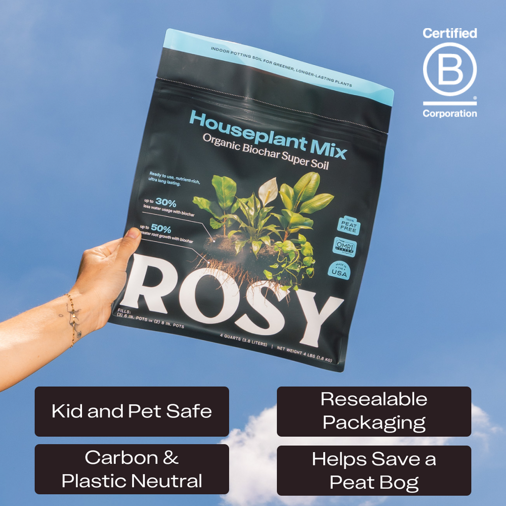 Rosy Houseplant Soil by Rosy Soil, detail 5