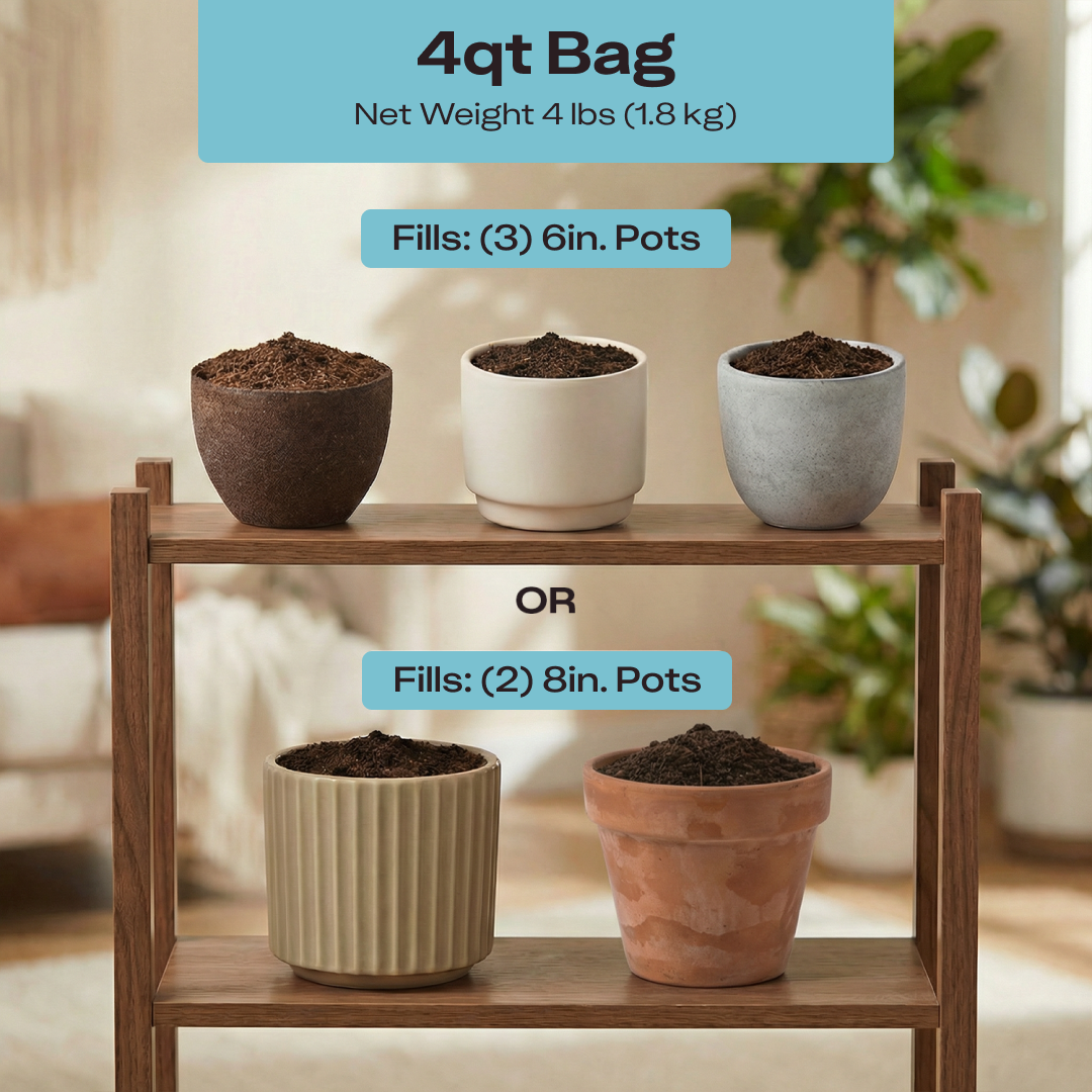 Rosy Houseplant Soil by Rosy Soil, detail 9