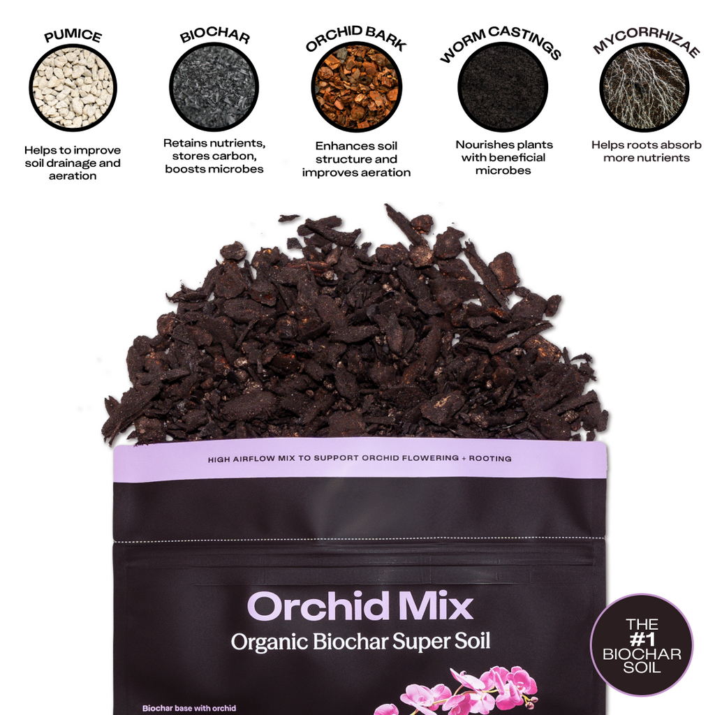 Rosy Orchid Mix by Rosy Soil, detail 4