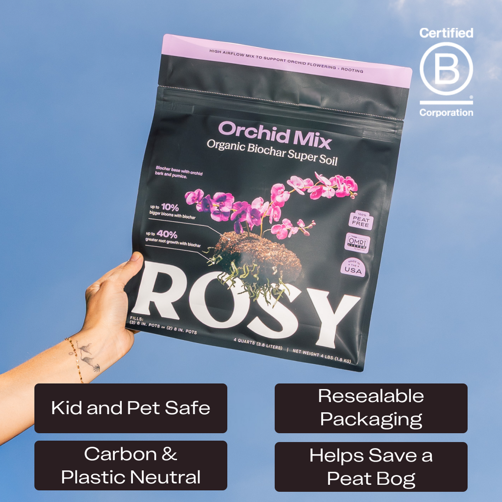 Rosy Orchid Mix by Rosy Soil, detail 5