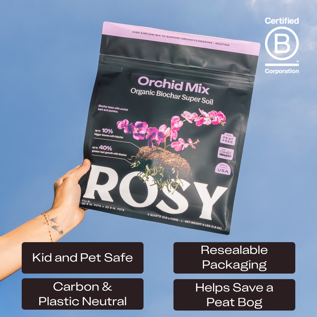Rosy Orchid Mix by Rosy Soil, detail 5