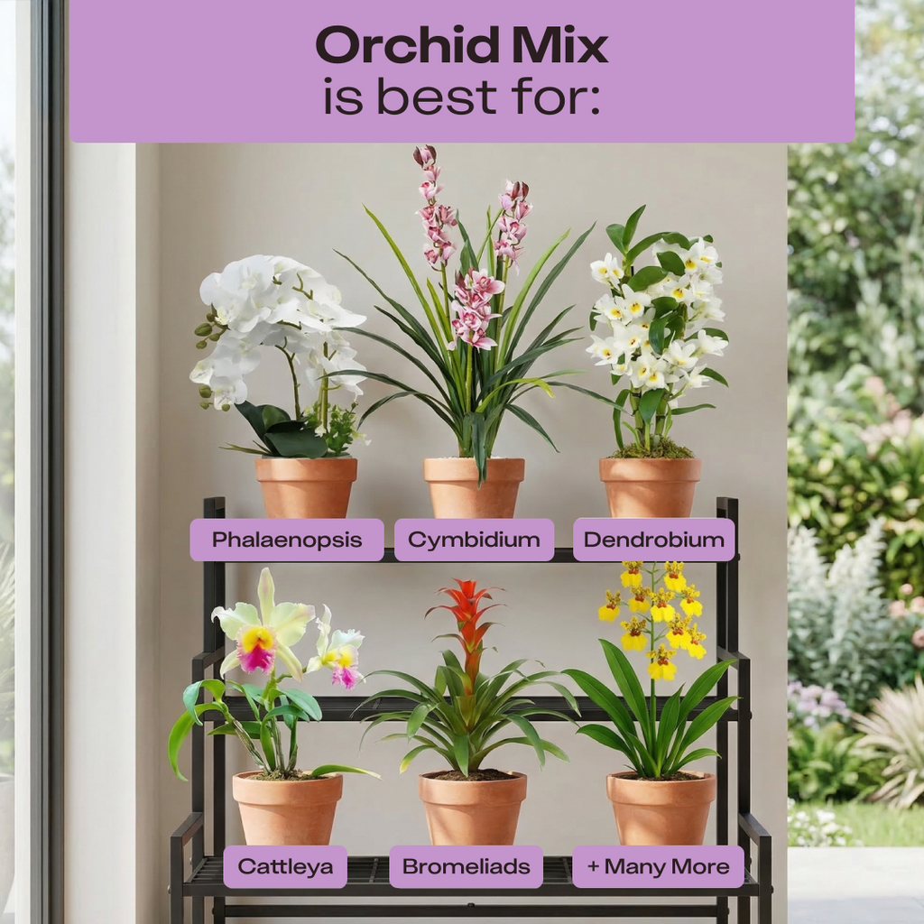 Rosy Orchid Mix by Rosy Soil, detail 7