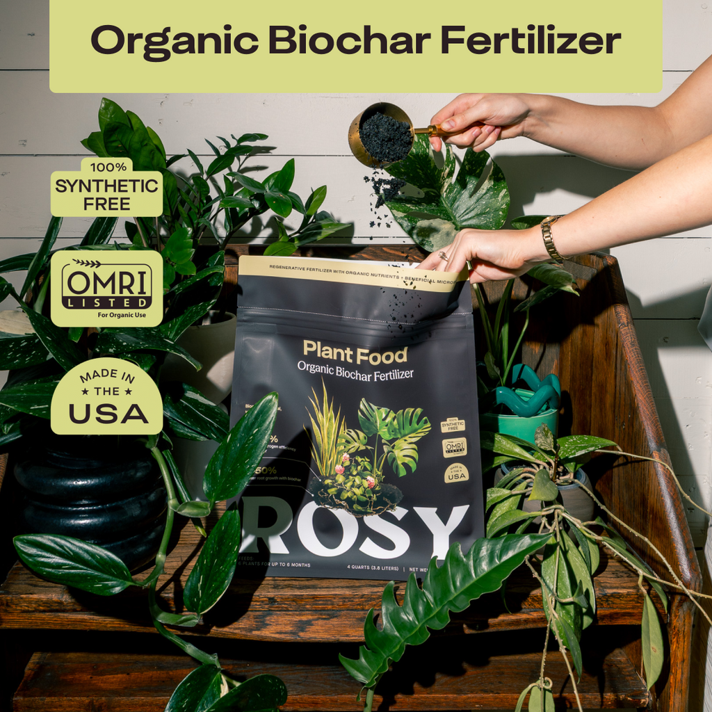Rosy Plant Food by Rosy Soil, detail 2