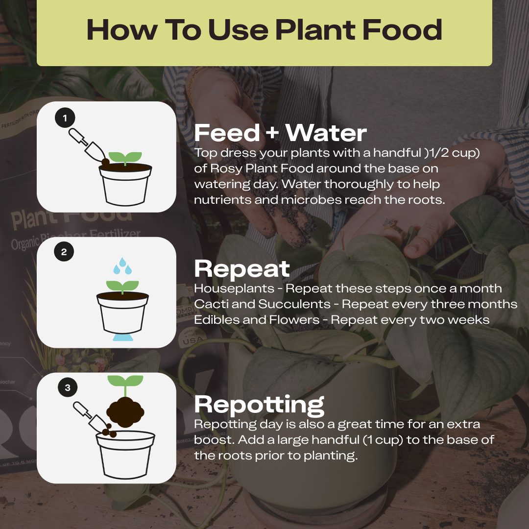 Rosy Plant Food by Rosy Soil, detail 3