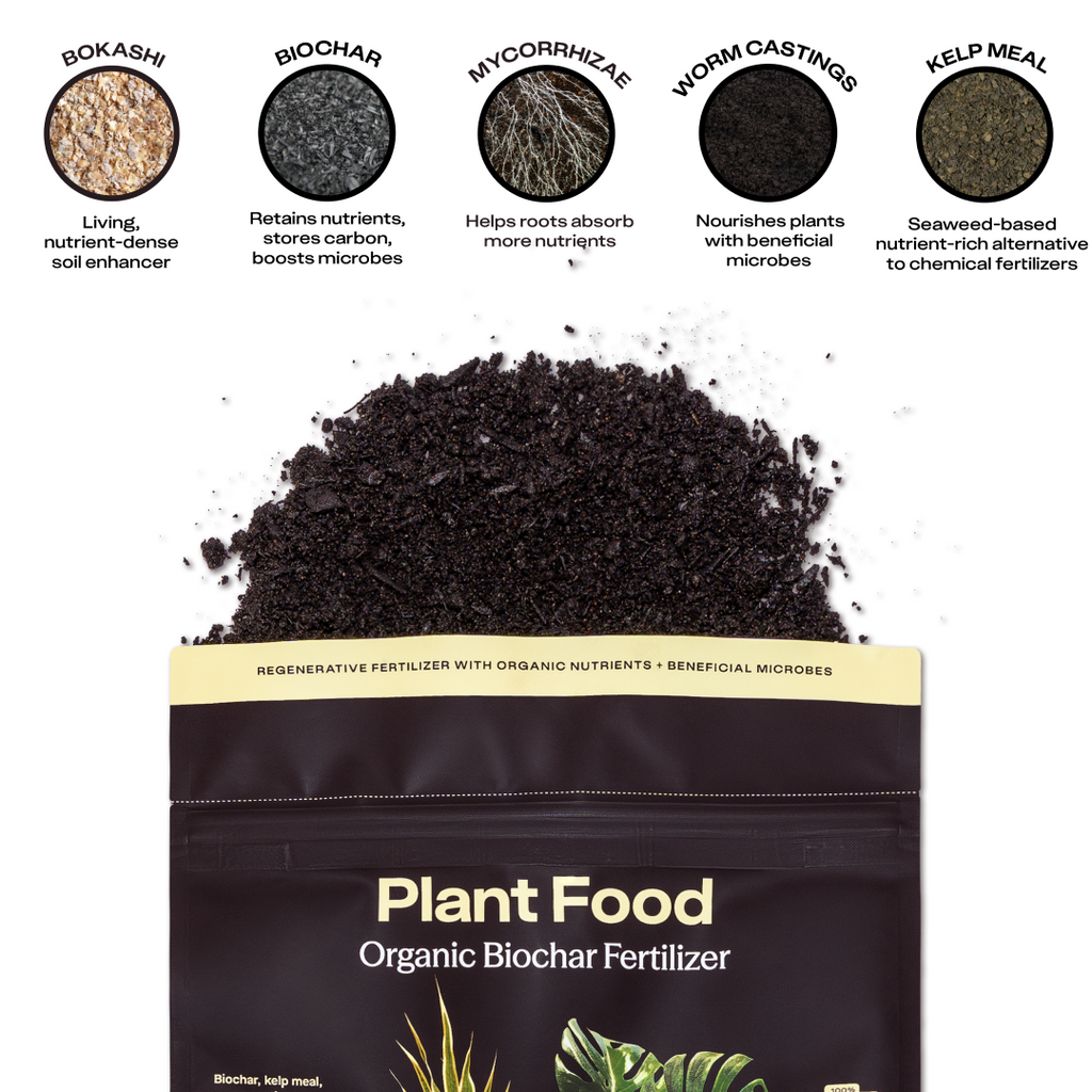 Rosy Plant Food by Rosy Soil, detail 4