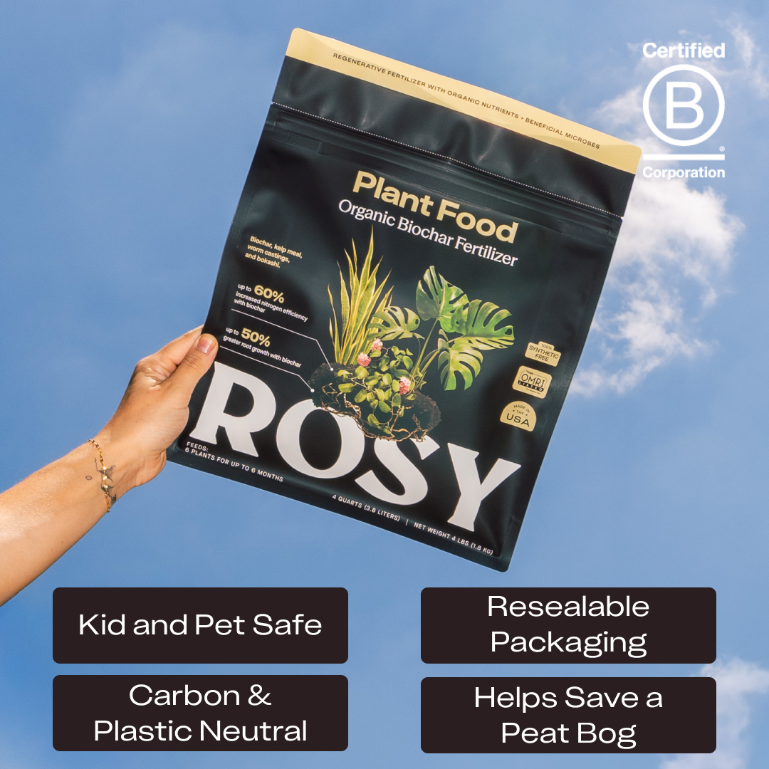 Rosy Plant Food by Rosy Soil, detail 5
