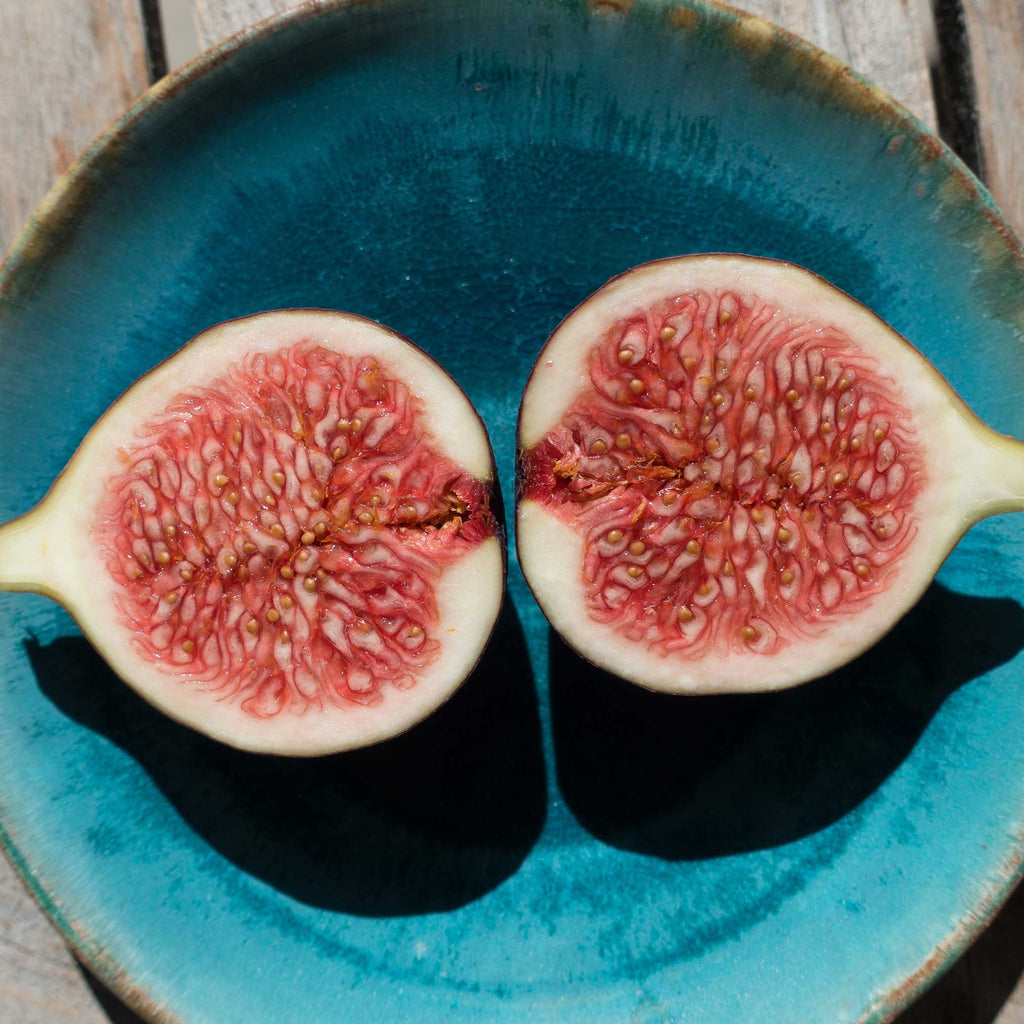 Ripe brown-purple figs on a branch among large lobed leaves (view 2)
