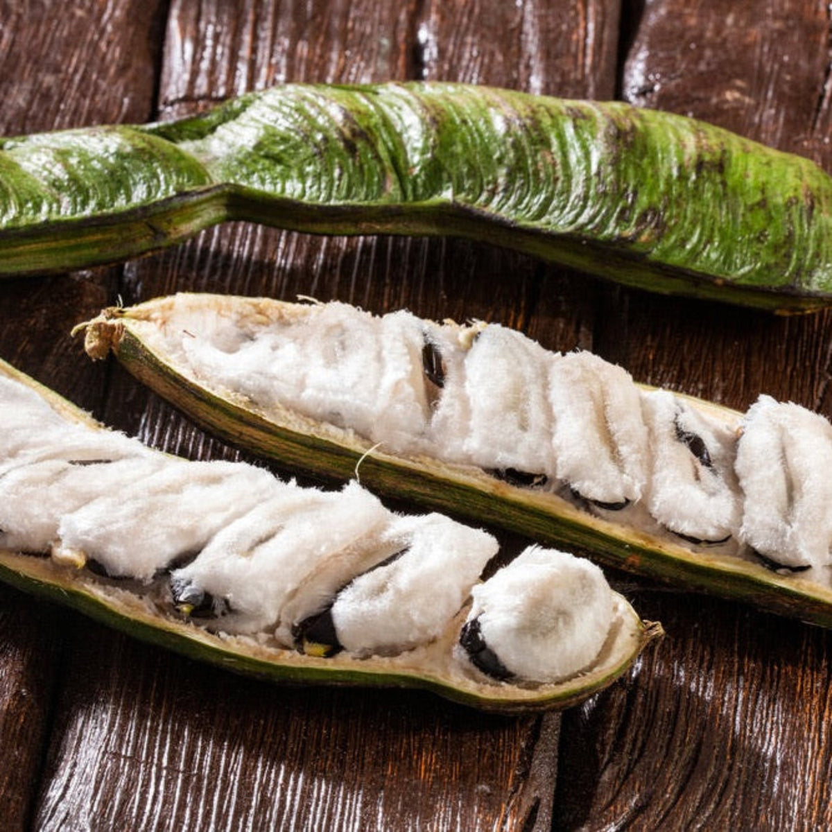 Ice cream bean tree with feathery green compound leaves (view 2)