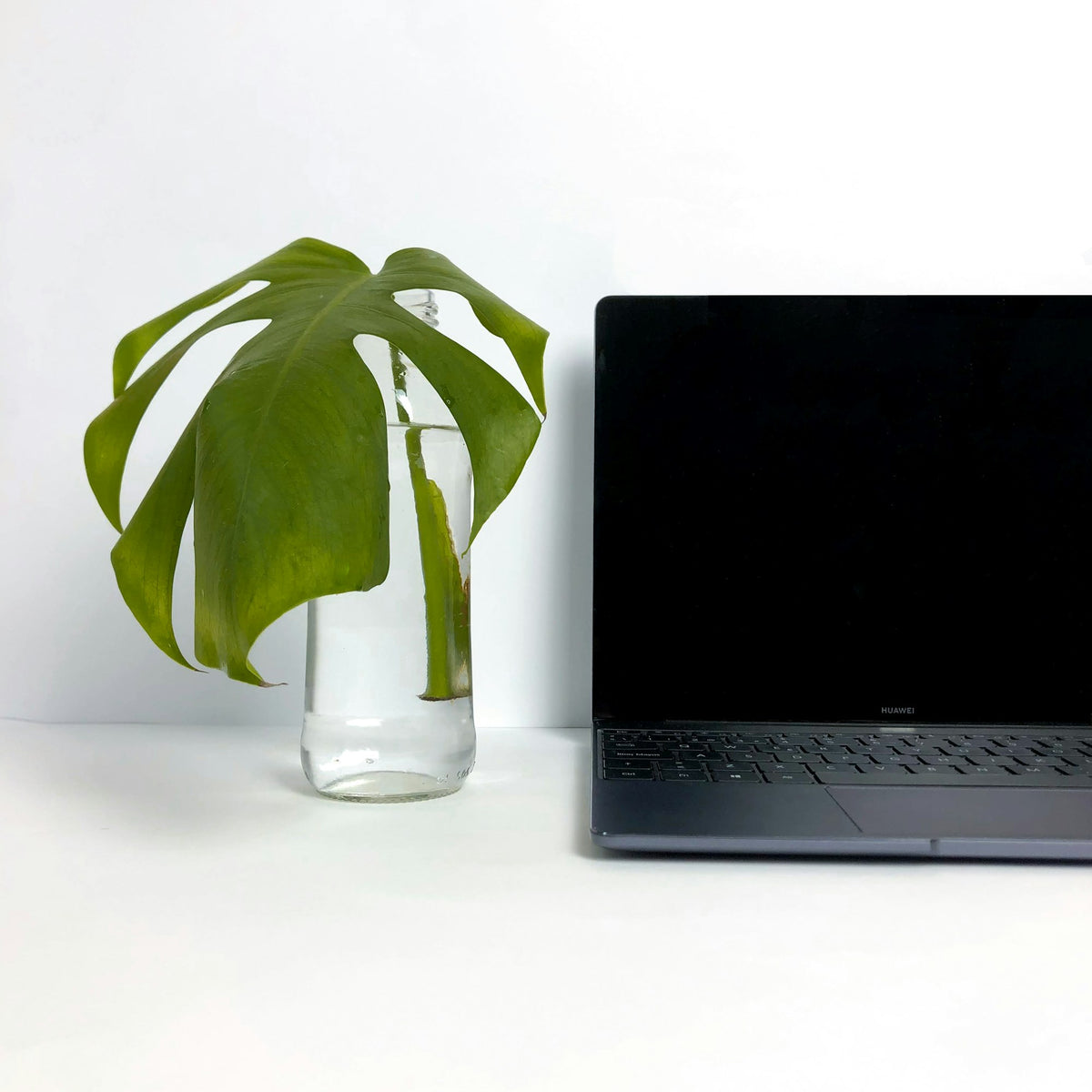 The Desk Set