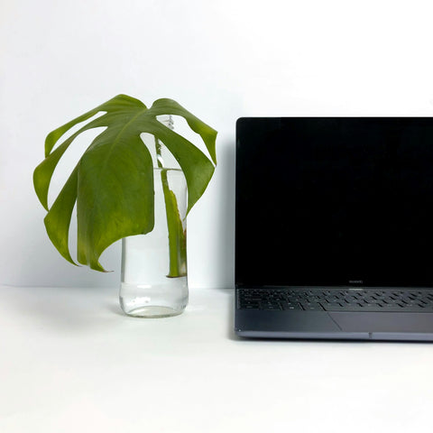 The Desk Set