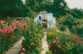 A cottage garden border in bloom
